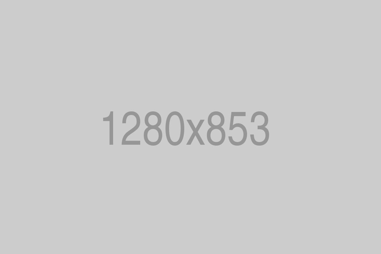 divi-gear-5